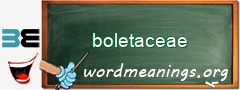 WordMeaning blackboard for boletaceae